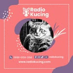 Pet Shop Radio Kucing