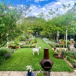 Gilligan’s Garden
