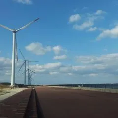 おたさ