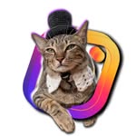 Choni Gato