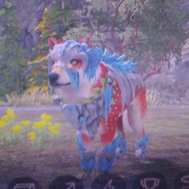 😻༒ꨄѵαlҽɾíα ѵαɾҽlα ツ༒😻ᶻ 𝘇 𐰁