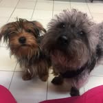 Teddy & Jimmy
