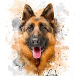 Ash The Germanshepherd