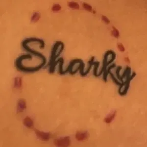 Sharky6ix9ine
