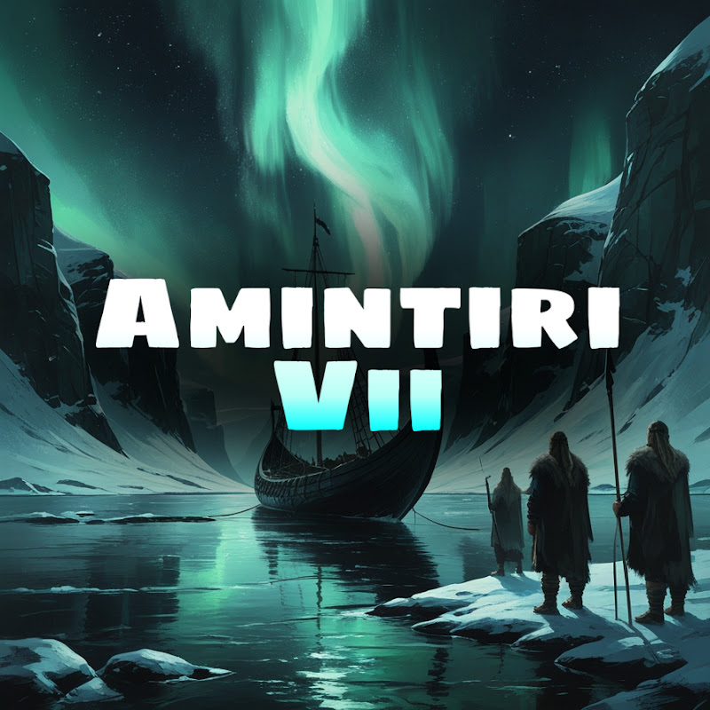 Amintiri Vii