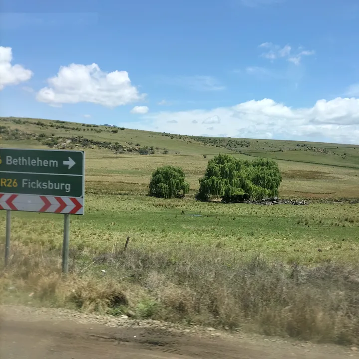 Lutendofm