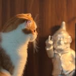 유니_짚 🏠🪴🐈