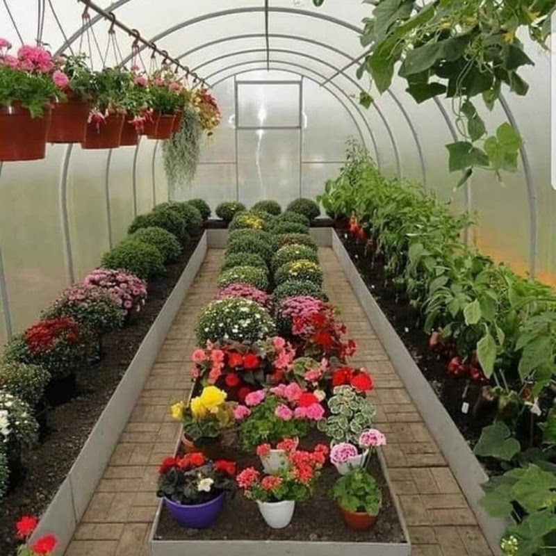 عالم الزراعةوالاعشاب agriculture 🌺🌲