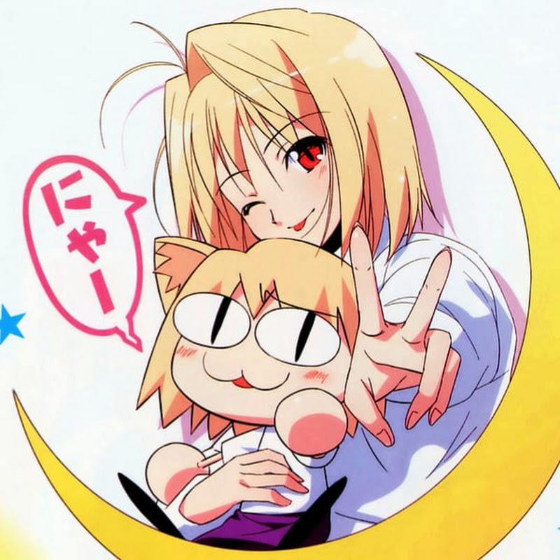 Animecchi