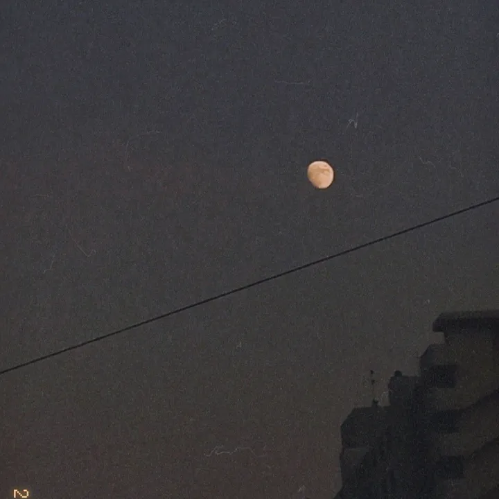 과몰입