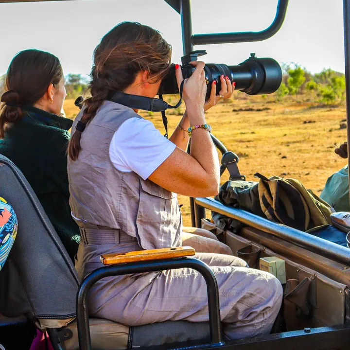 White Lion Travel