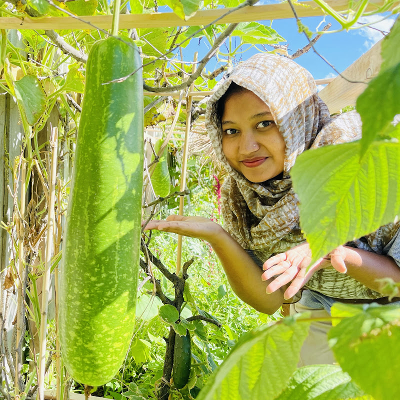 Mahfuza Rahmans Garden