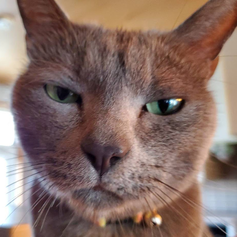 Kun Roku Tsuki / くんろくつき