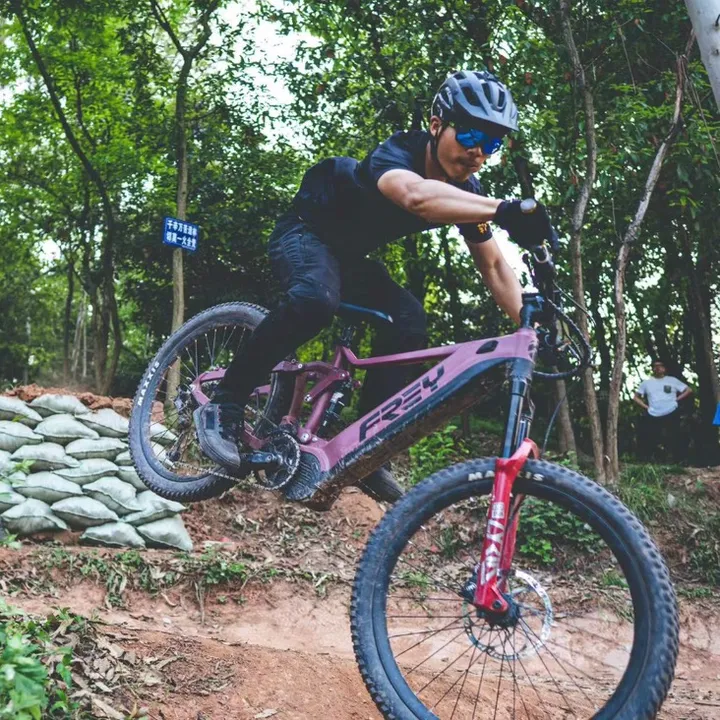 HiFreyBike