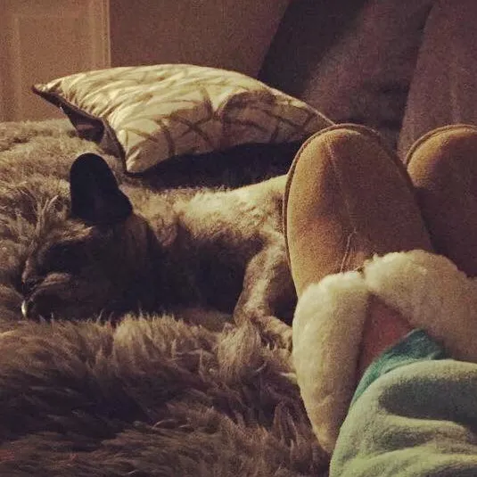 Cinda-fkn-rella