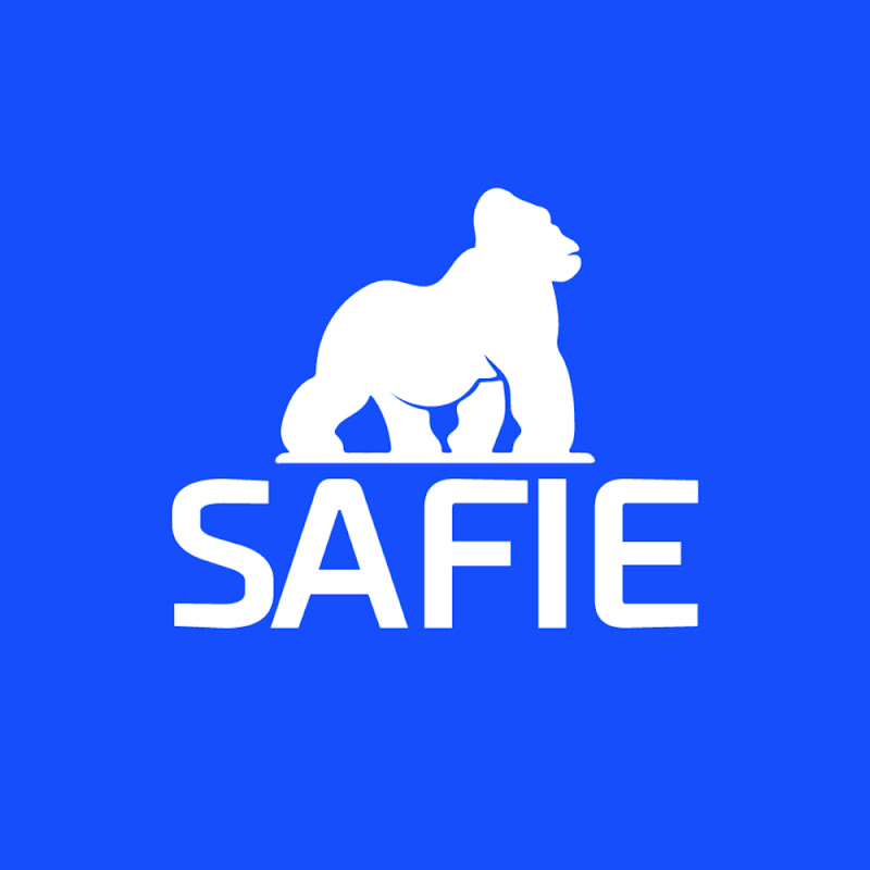 SAFIE | Consultoria para Empresas