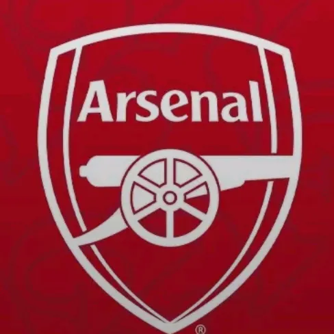arsenal fans ⚽️🖐➌