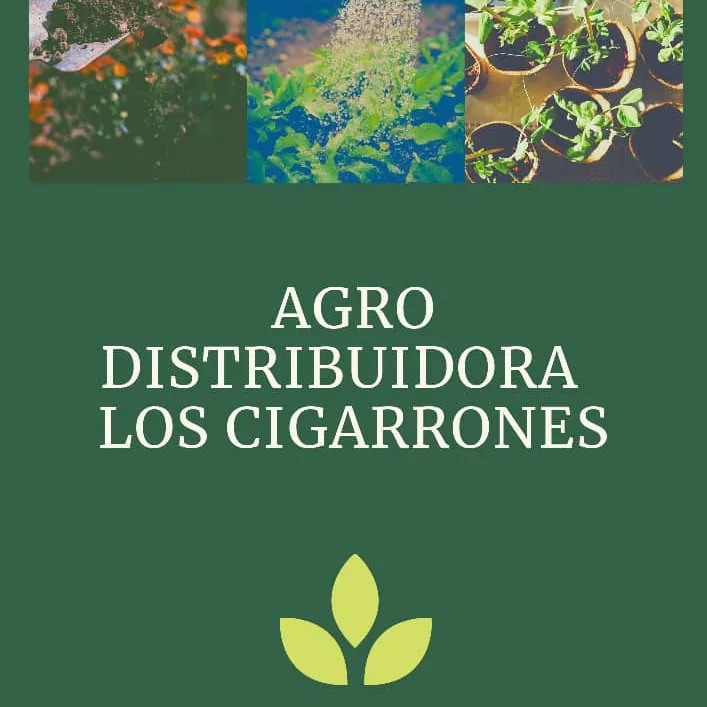 Agroloscigarrones