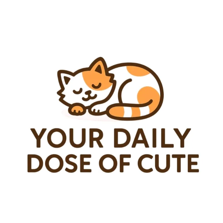 Daily Dose of Cute