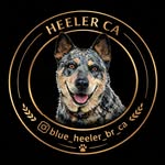 Heeler CA | Australiancattledog 🐾 🇧🇷