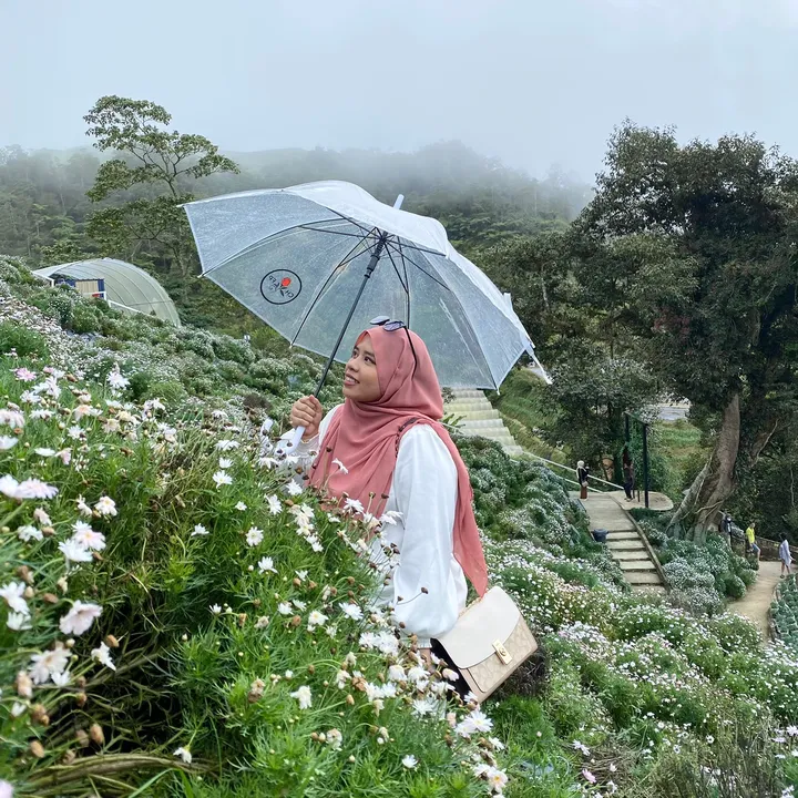 dihasyazwani