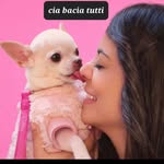 lifestyle Pet Lover
