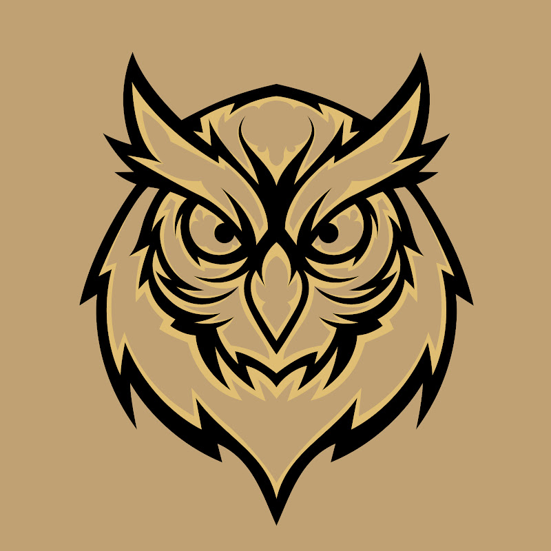 Owlshade FPV