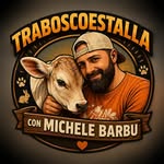 Barbu Mihai