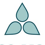 Bliss Yoga