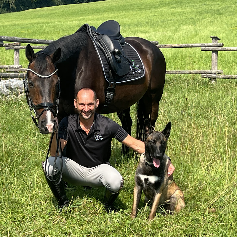 WR-ride your life  Riding Academy by Wolfgang Rust