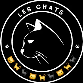 🇫🇷 LES CHATS 🐱 🐈🐈‍⬛