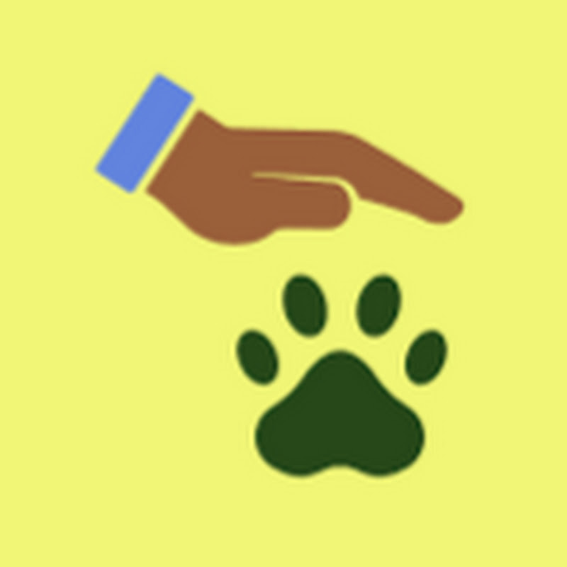 Pet Insurance Pro Tips