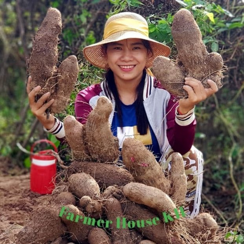 Farmer House KH