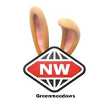 New World Greenmeadows