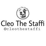 𝑪𝒍𝒆𝒐 𝑻𝒉𝒆 𝑺𝒕𝒂𝒇𝒇𝒊