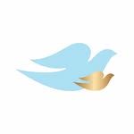 Baby Dove