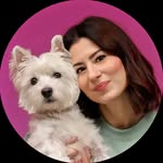 Sami the Westie