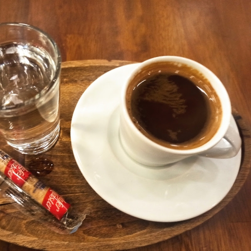 Gezi ve Canlılar 
