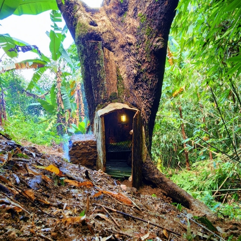 Alone Bushcraft 