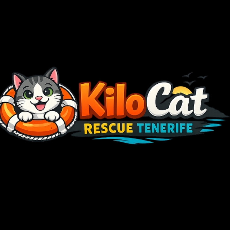 KiloCat 
