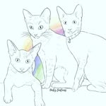 Luna & Luca & Lilly 🇿🇦