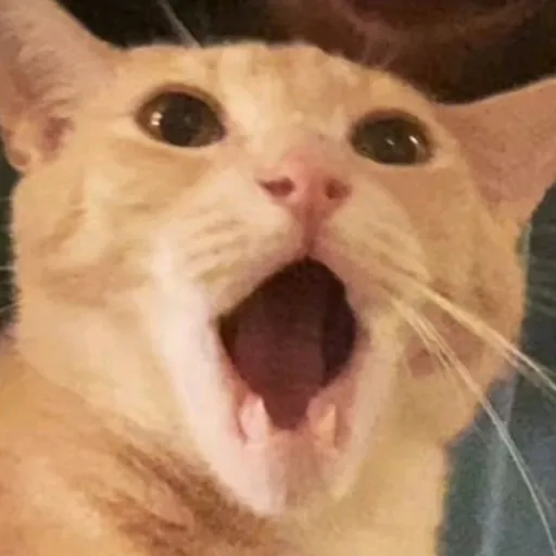 ทาส