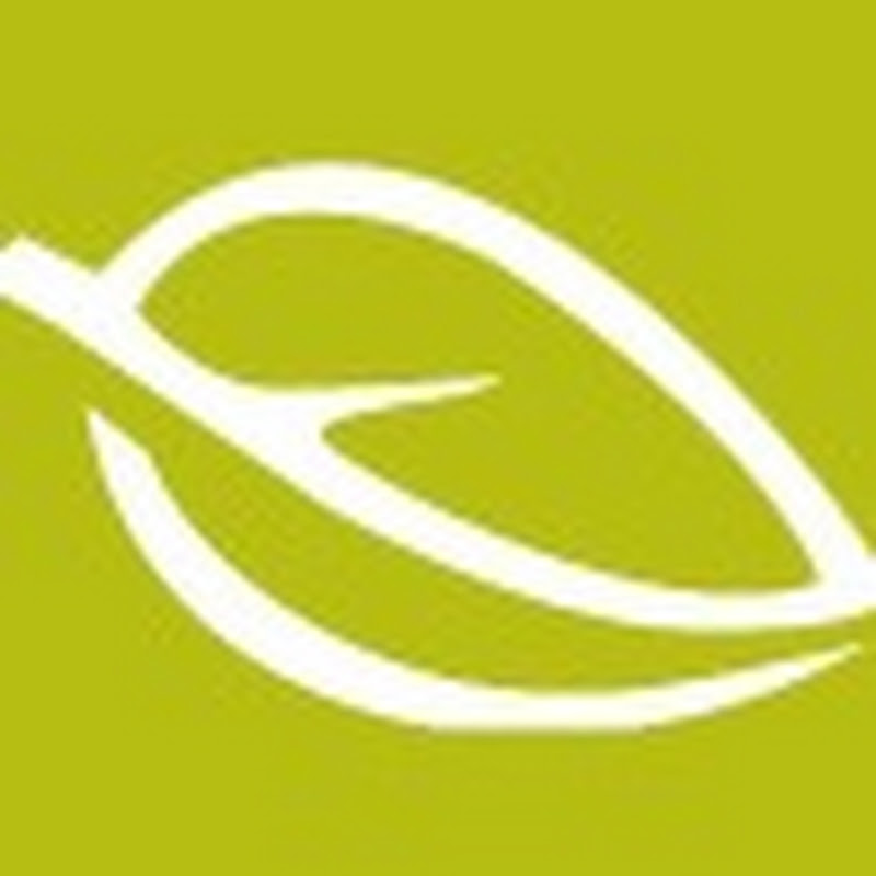 La Saponaria