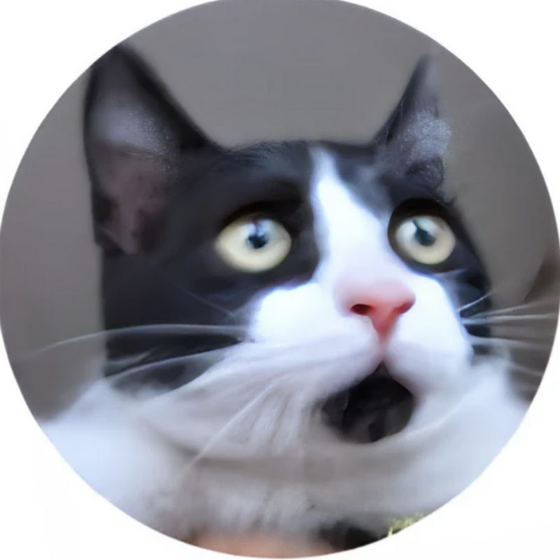 한국일본 문화채널