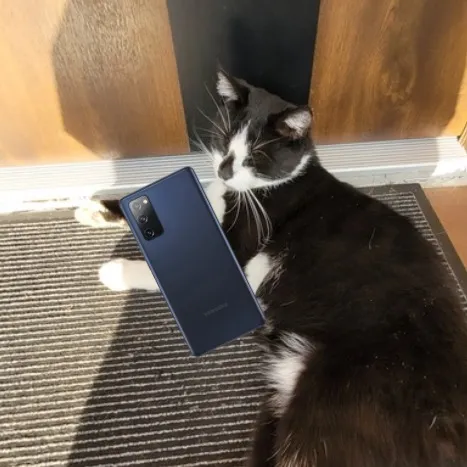 Galaxy S20FE Hype