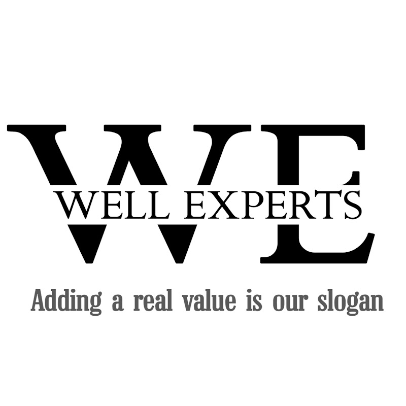 WELL EXPERTS