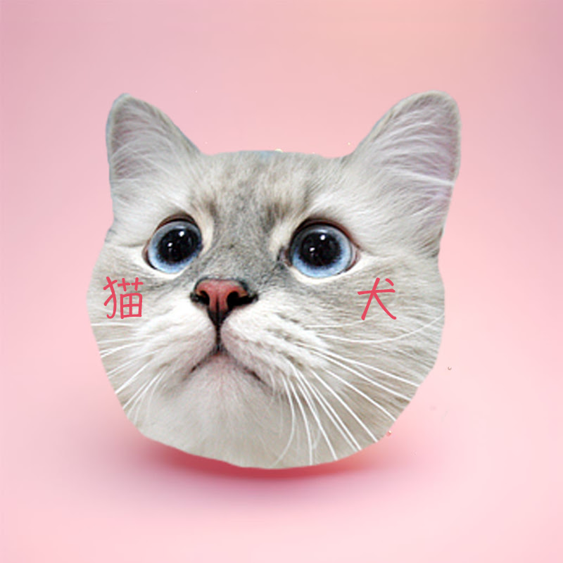 NekoKen TV | cute snacks and surprise toys