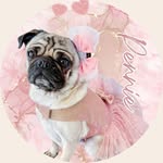 Pennie Pug