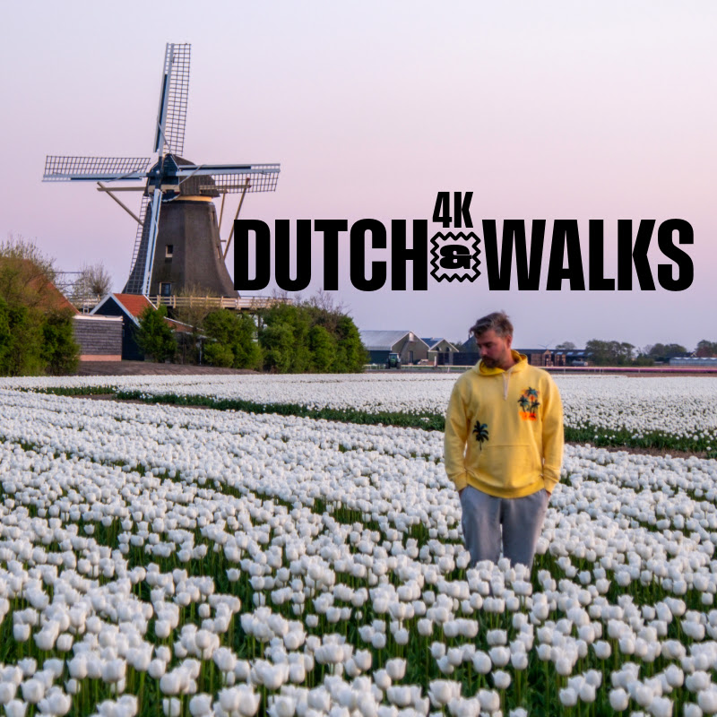 Dutch Walks 4K