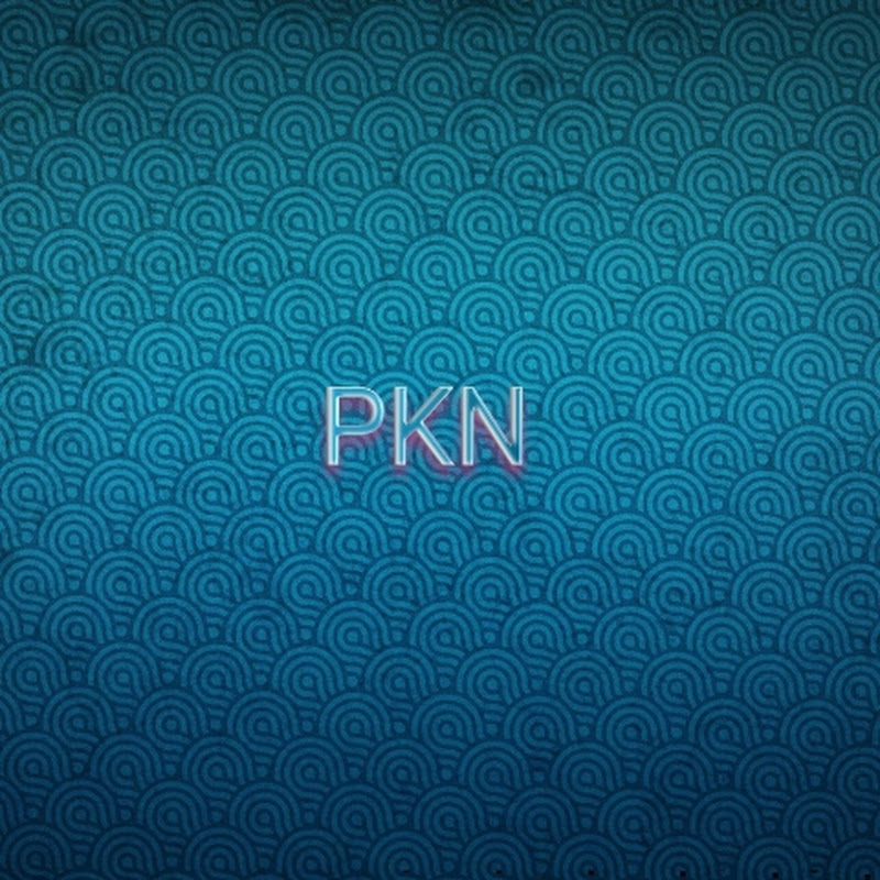 Noushad vengara // PKN